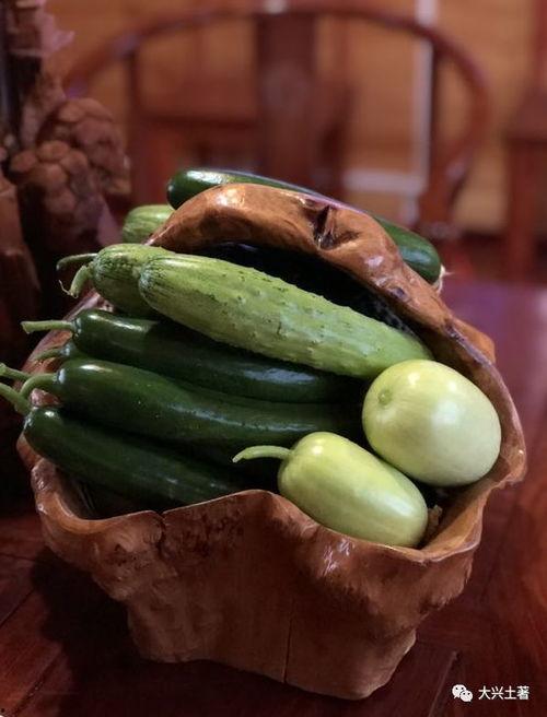 网红的吃瓜群号